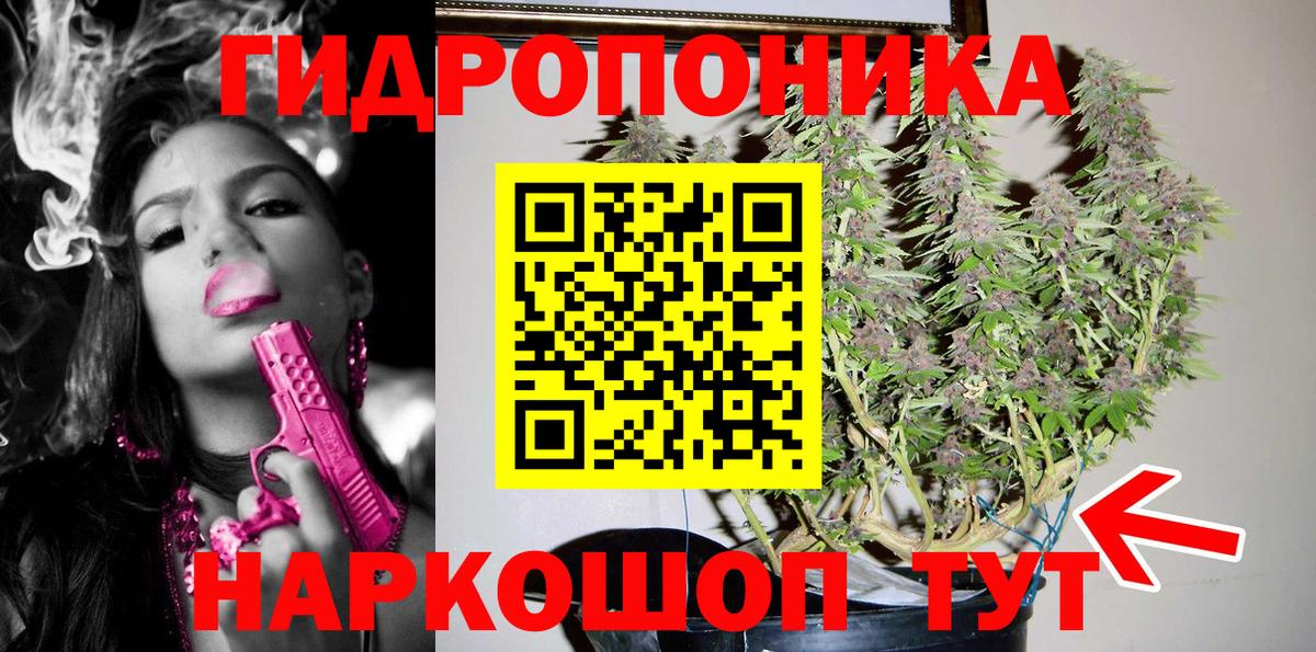 Назрань  Канабис MAZAR  Вход с VPN  Конопля OG Kush  Каннабис OG Kush 